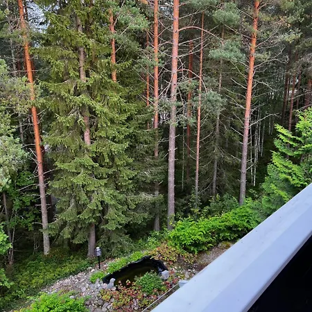 Apartment Vuokatin Aateli Herttuatar *