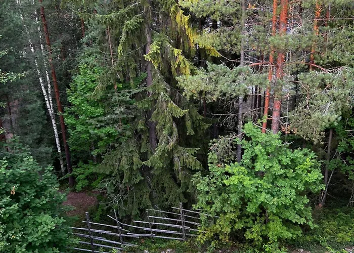 Vuokatin Aateli Herttuatar 아파트