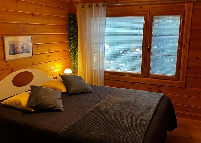 Vuokatin Aateli Herttuatar 아파트 부오카티