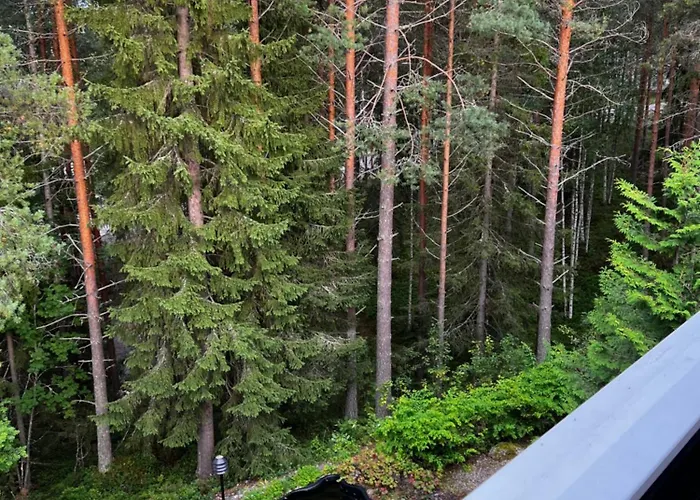 아파트 Vuokatin Aateli Herttuatar *